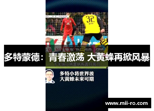 多特蒙德：青春激荡 大黄蜂再掀风暴
