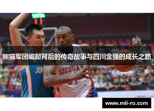 熊猫军团崛起背后的传奇故事与四川金强的成长之路