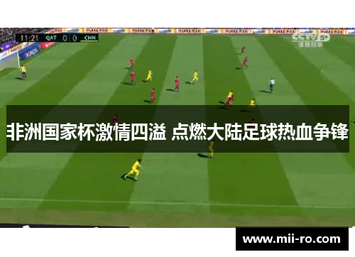 非洲国家杯激情四溢 点燃大陆足球热血争锋